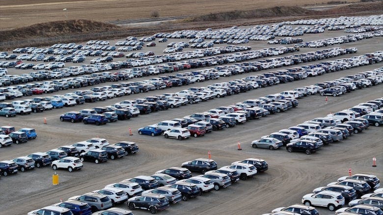 Dozens of cars are parked in rows on a dusty gravel lot. Dozens of cars are parked in rows on a dusty gravel lot.