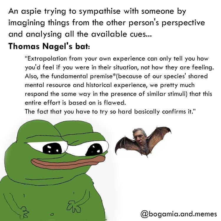Meme featuring Pepe the Frog with a sad expression, labelled 'An aspie trying to sympathise...'. The frog is addressed by a bat with the philosopher Thomas Nagel's head, which quotes Nagel's philosophy on the limits of understanding another's experience.