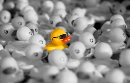 You Have to Be Different to Stand Out In The Crowd