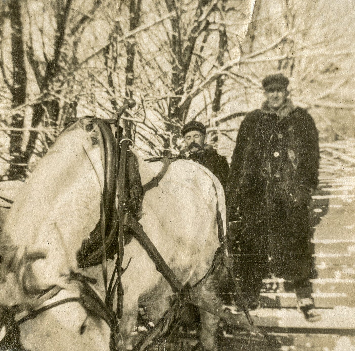 Snow Roller team