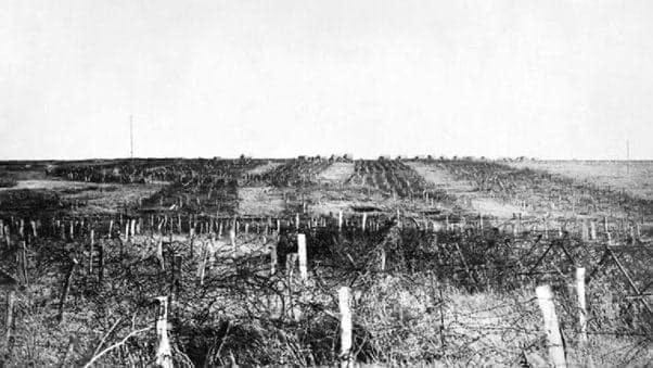 No photo description available.