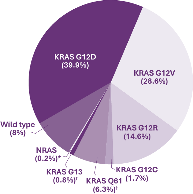 RAS Mutations in Pancreatic Adenocarcinoma (PDAC)