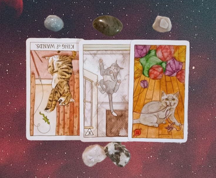 A Message from the Universe ~ Make Time to Self-Reflect, Cat Tarot Cards