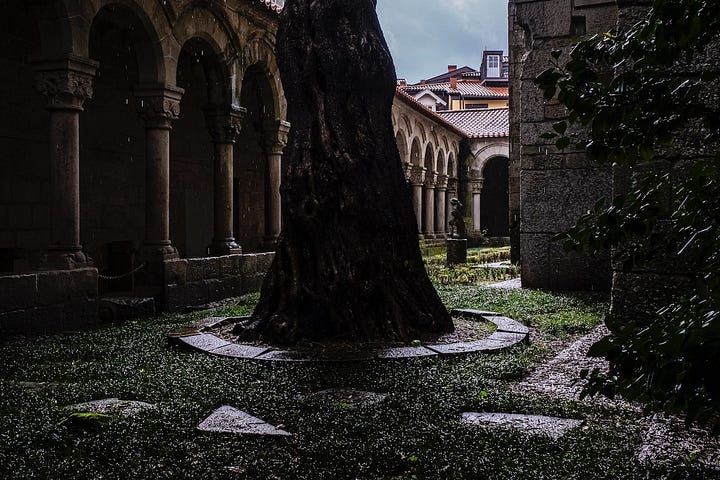 Images from Northern Portugal.