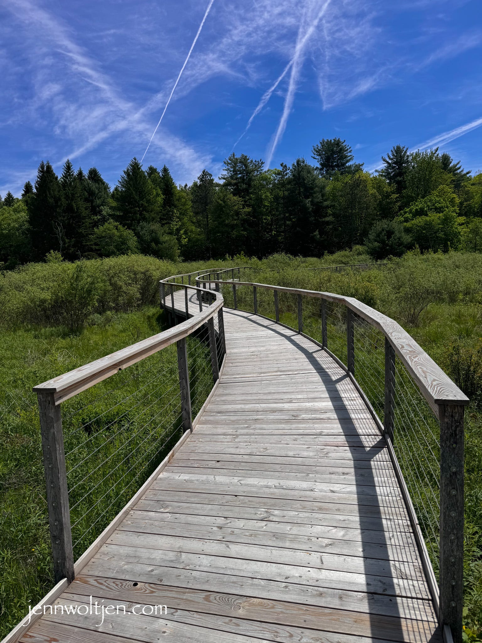 Accessible Trails and Adaptive Technology: Expanding Outdoor