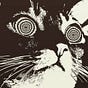 HB Write's avatar