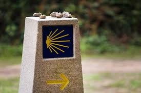 Yellow scallop shell, touristic symbol of the Camino de Santiago showing  direction on Camino Norte in Spain. | Premium Photo