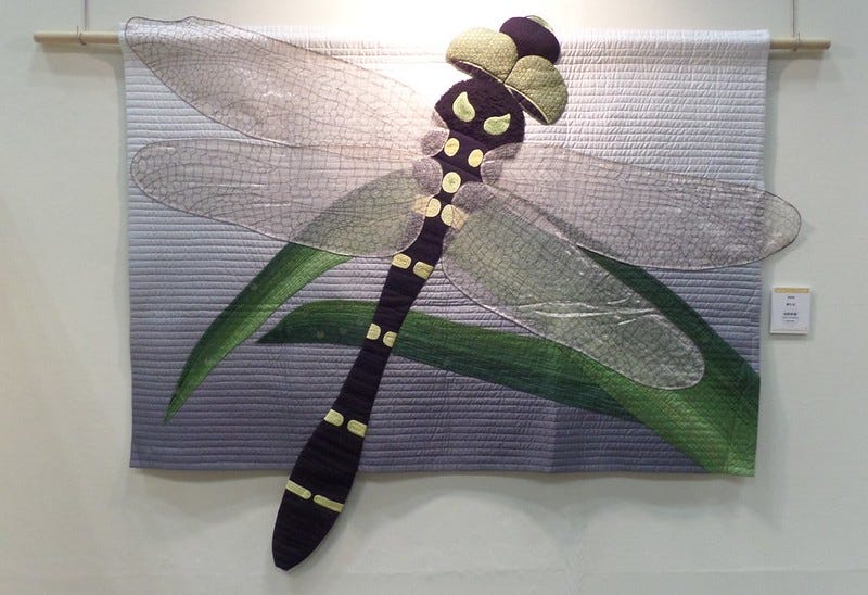 Dragonfly by Takami Kashiwabara Dragonfly by Takami Kashiwabara