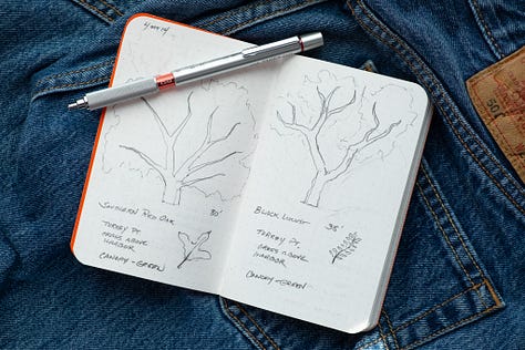 simple pictures every day