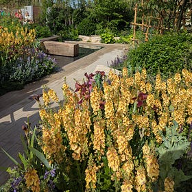 Chelsea Flower Show part 1