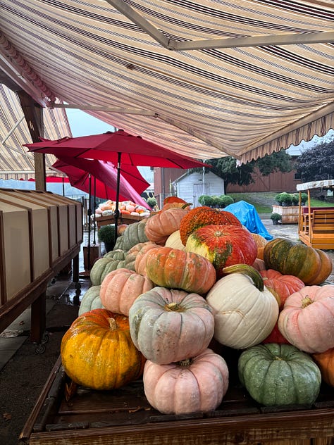 Blue heron statue, pumpkins on wagon, MD Garage at night, trail leading toward tunnel, mural in Canal Fulton, deck overlooking wetland