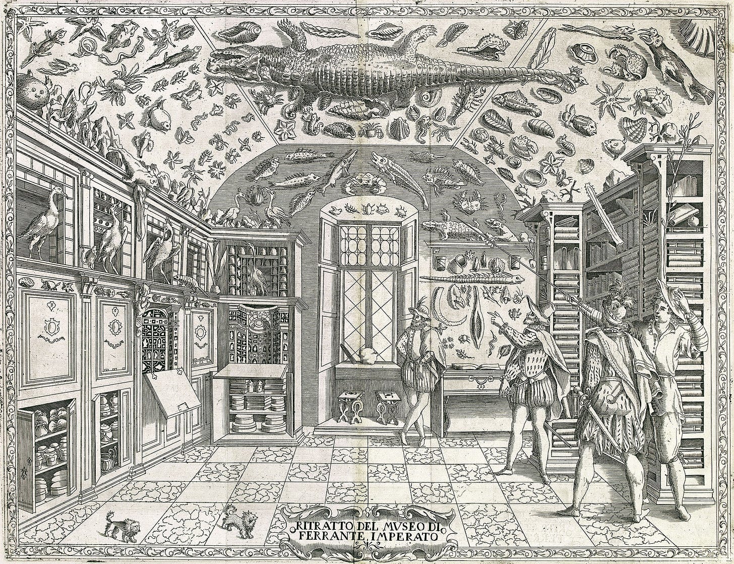 https://upload.wikimedia.org/wikipedia/commons/f/f3/RitrattoMuseoFerranteImperato.jpg
