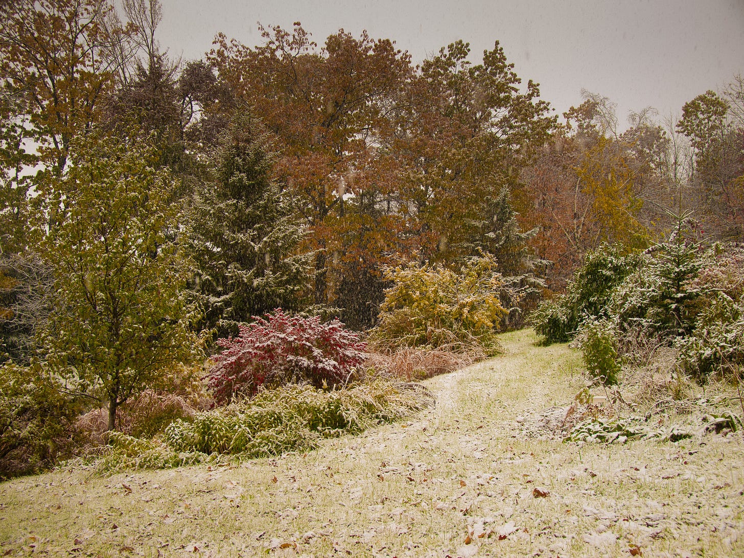 light snow