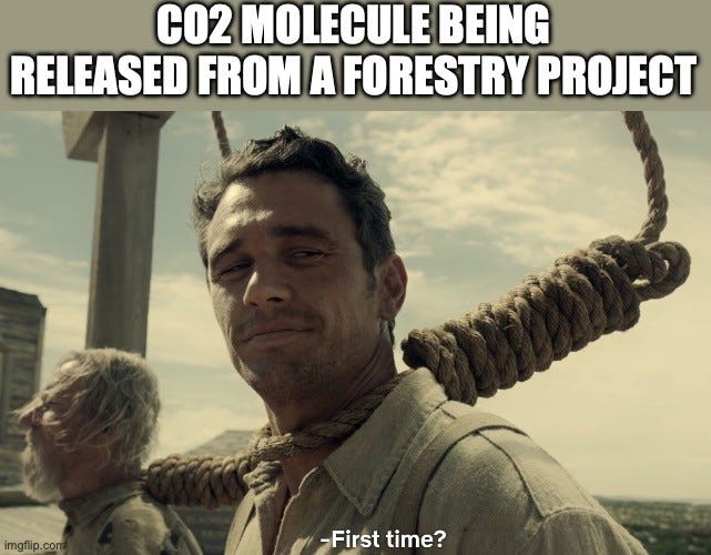 Still from The Ballad of Buster Scruggs: James Franco with a noose around his neck grins sideways at a crying man beside him. Top text: "CO2 MOLECULE BEING RELEASED FROM A FORESTRY PROJECT". Subtitle: "-First time?"