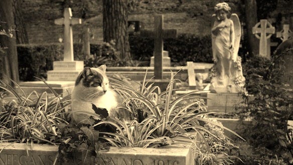 Rome, Italy: Welcome to the world's prettiest graveyard