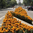 ¿Te atreves a ver el abismo?