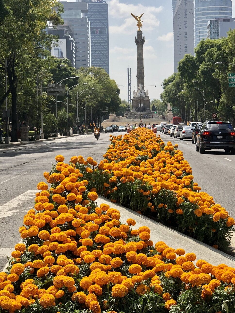 Gob CDMX anuncia el Festival del Cempasúchil en Reforma y Chapultepec