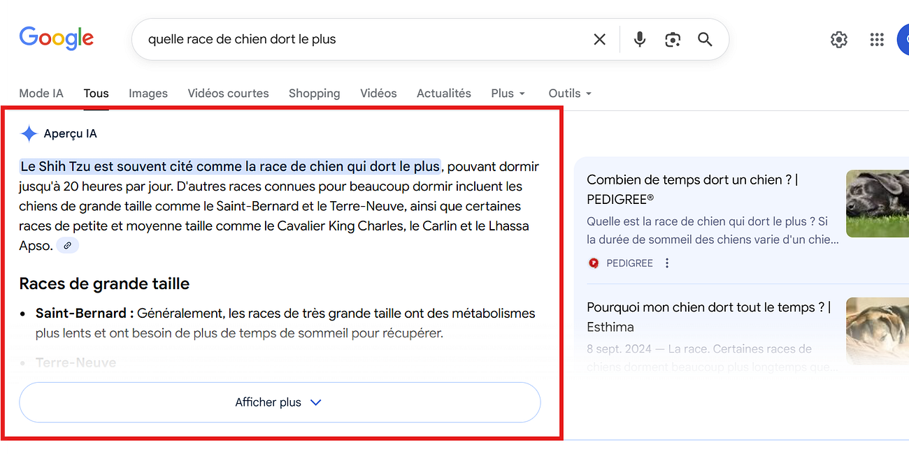 Google AI Overviews : les résumés des résultats de recherche faits par l'IA