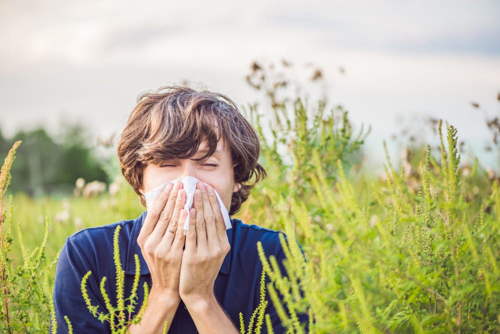 How Should You Prevent Pollen Allergies? How Should You Prevent Pollen Allergies?