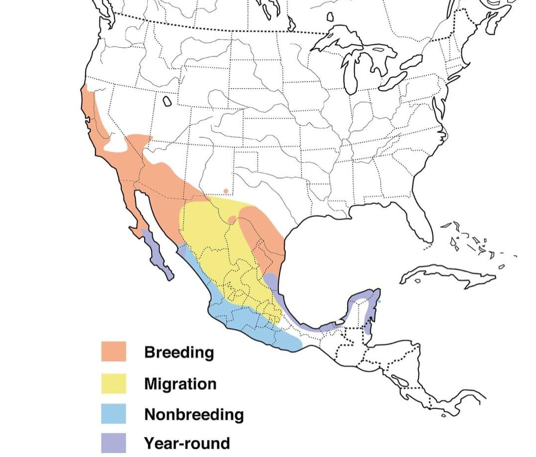 Screen Shot 2020-06-18 at 5.37.00 PM.png Screen Shot 2020-06-18 at 5.37.00 PM.png