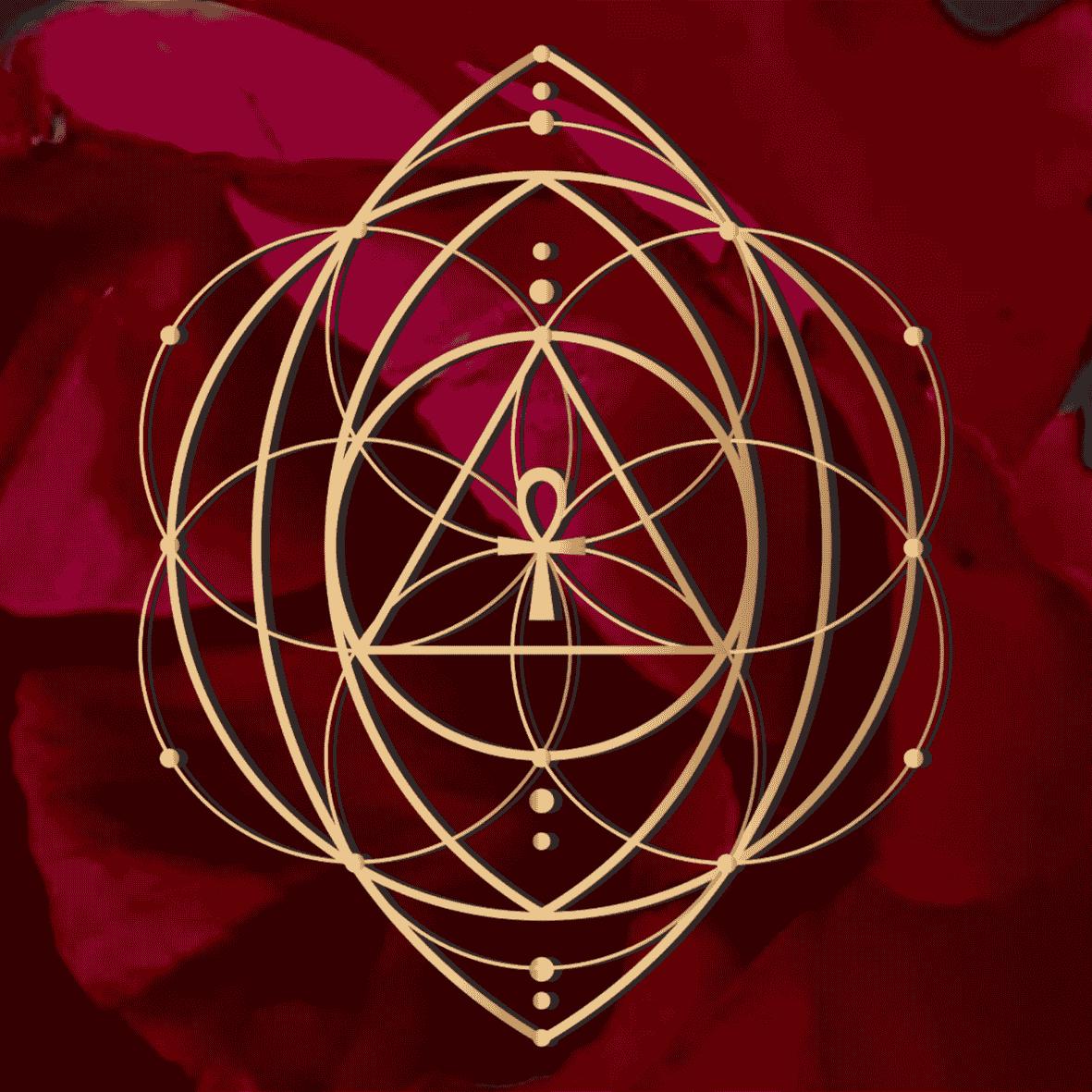 Mycelial Musings