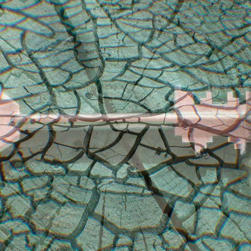 Asterlife Publishing Höuse