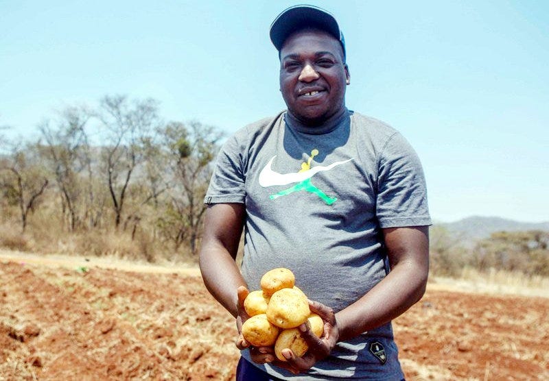 Baldwin Mazango holding potatoes during a harvesting period at his farm. 