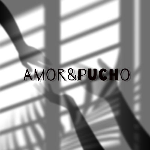 Artwork for Amor&Pucho