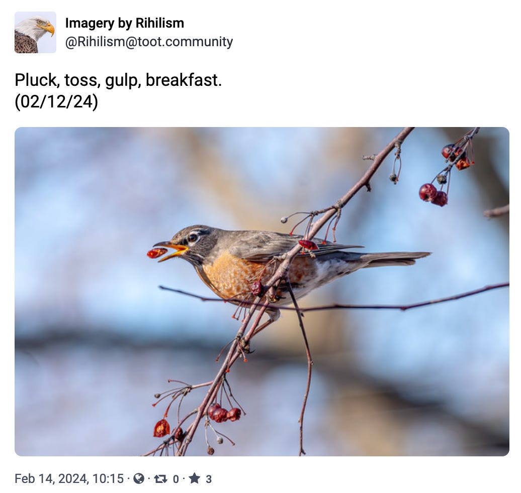 Pluck, toss, gulp, breakfast.