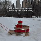 US Women's Hockey > Those Other Scumbags. Tabs, Tues., Feb. 24, 2026