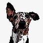 Hound's avatar