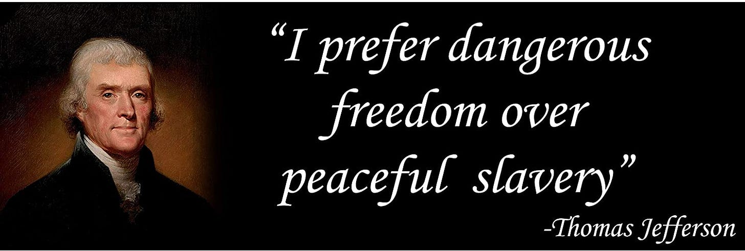 Amazon.com: Thomas Jefferson Freedom Quote Libertarian Sticker Car Bumper  Decal : Automotive