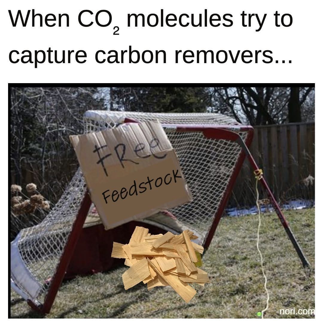 Text: "When CO2 molecules try to capture carbon removers..." Below, a hockey net propped up on a stick as a trap, baited with wood chips and a cardboard sign reading "Free feedstock".