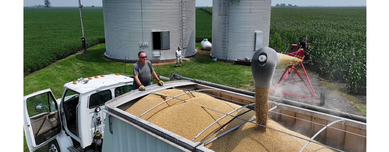 image 4.png image 4.png