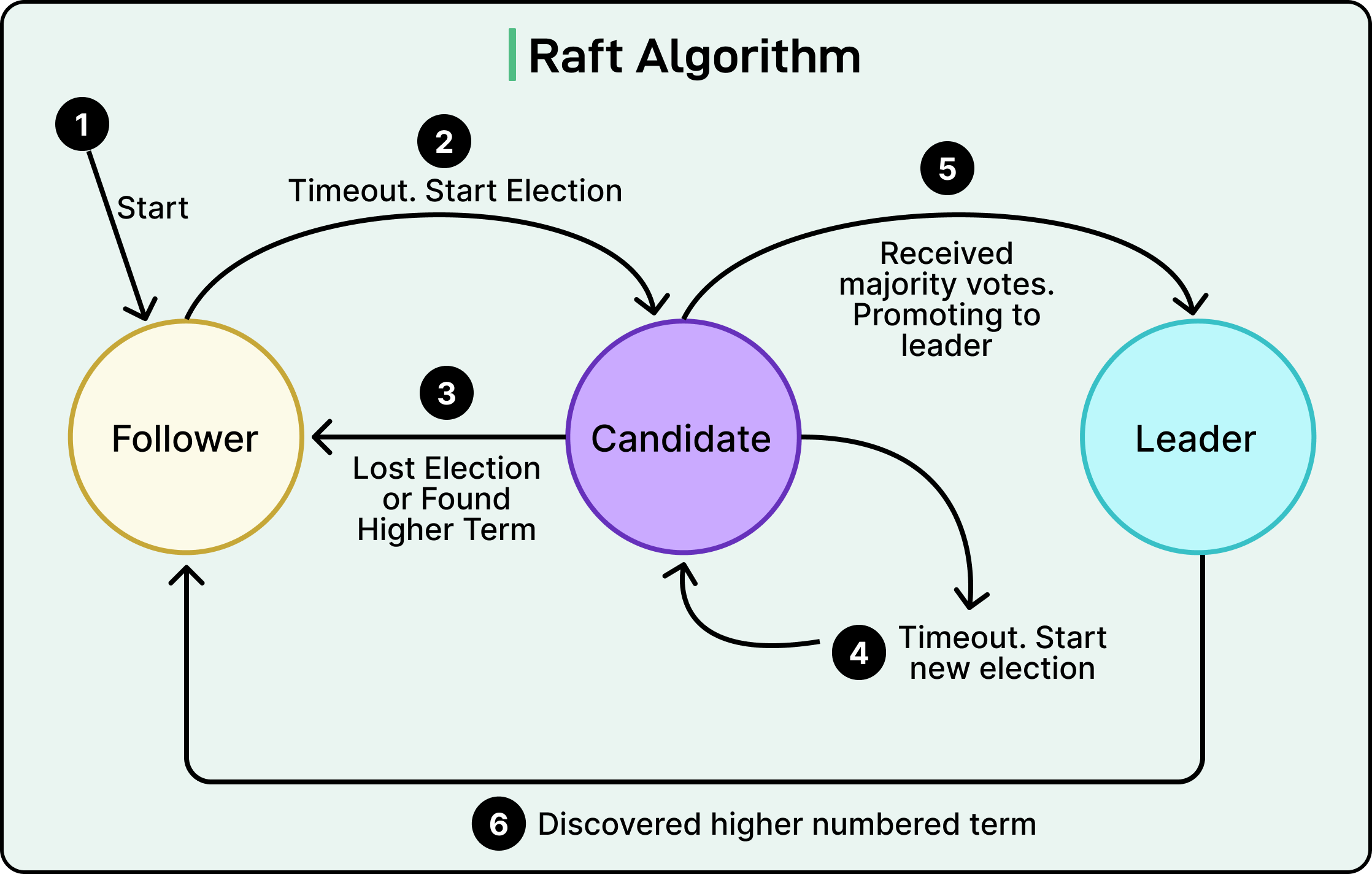 Top Leader Election Algorithms in Distributed Databases
