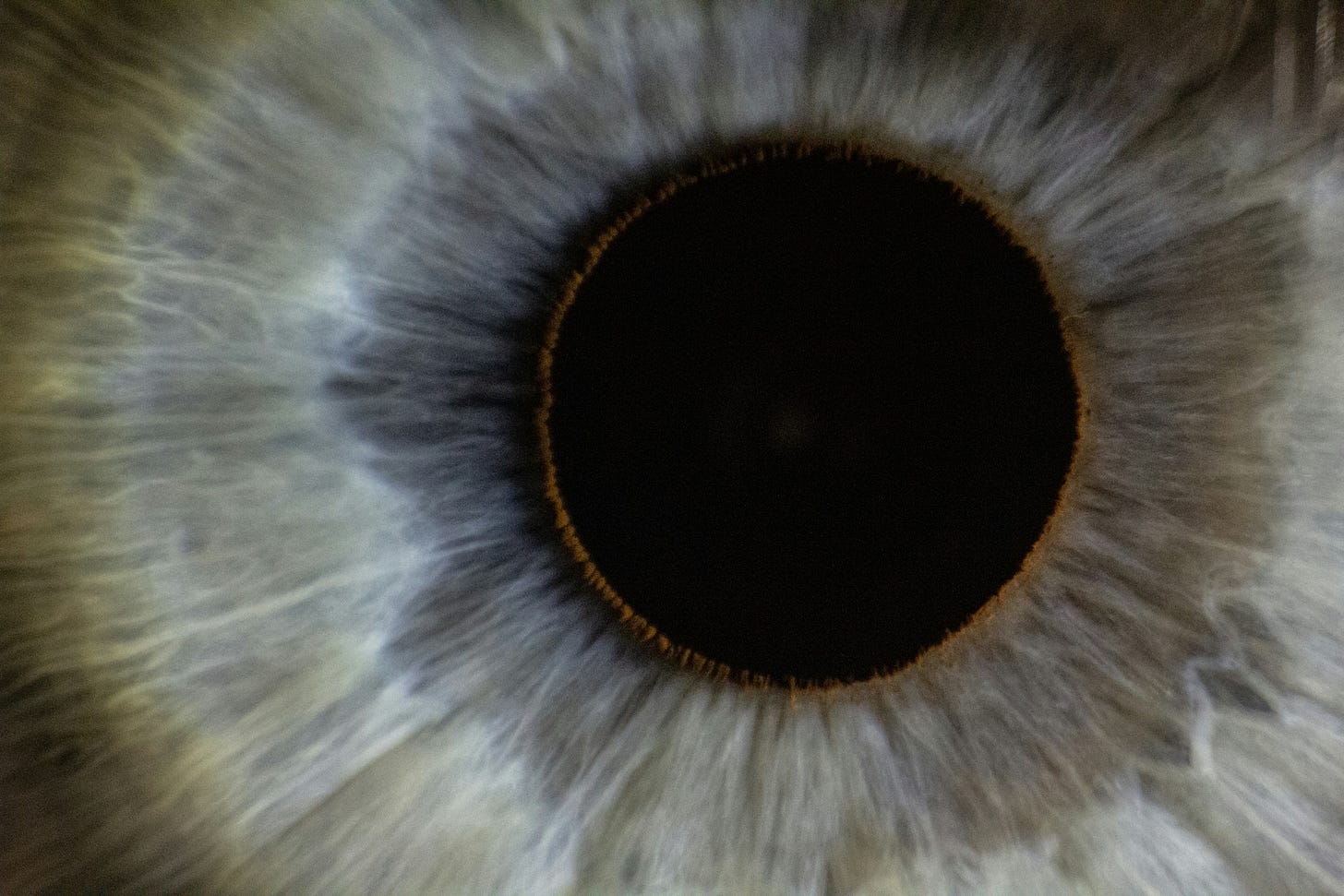A close-up of a pupil and grey iris. A close-up of a pupil and grey iris.