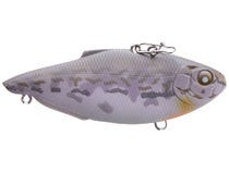 Goby