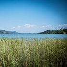 Mitgefühl und Vergebung
