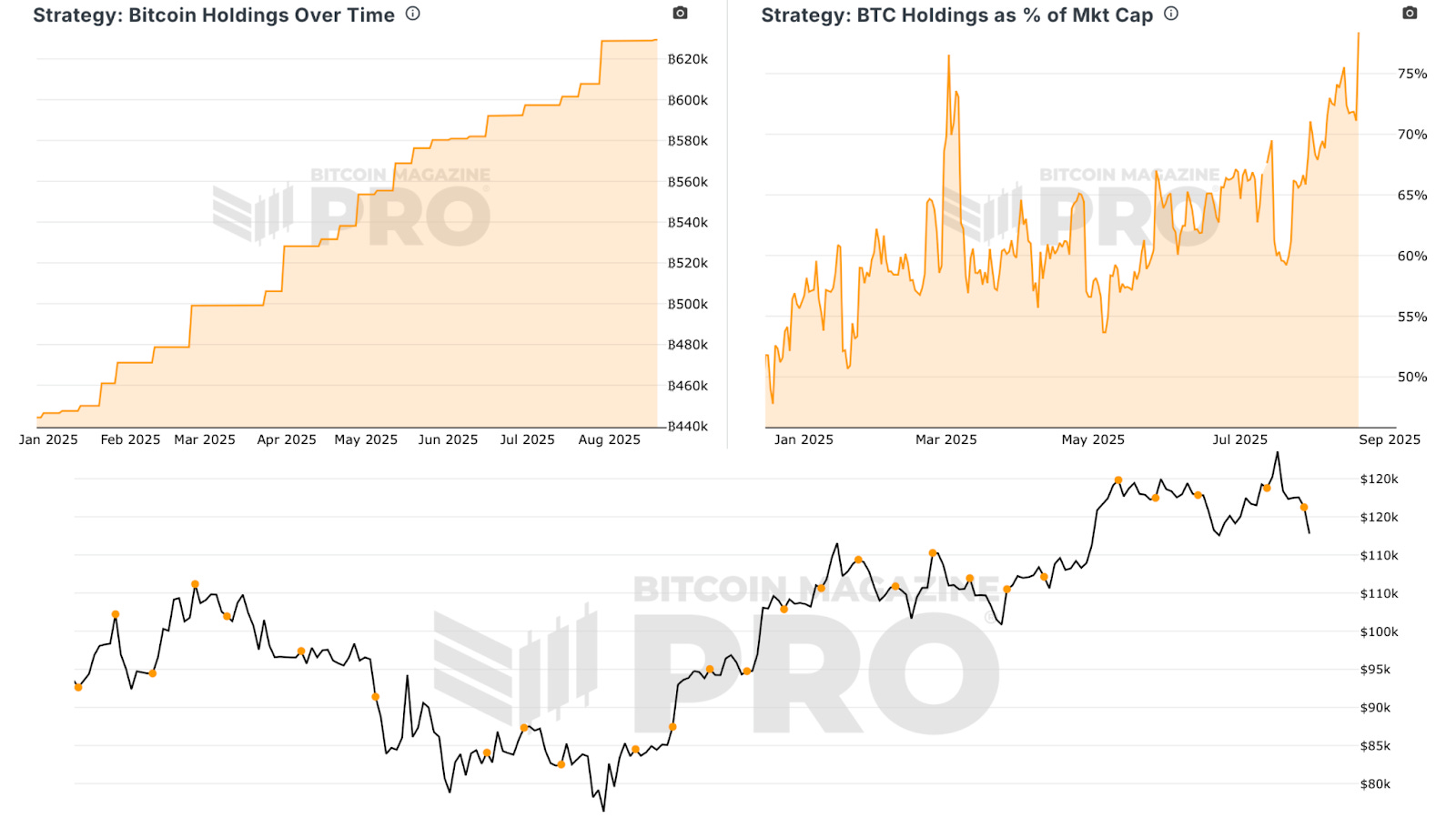 Will Bitcoin Treasury Companies Keep Underperforming?