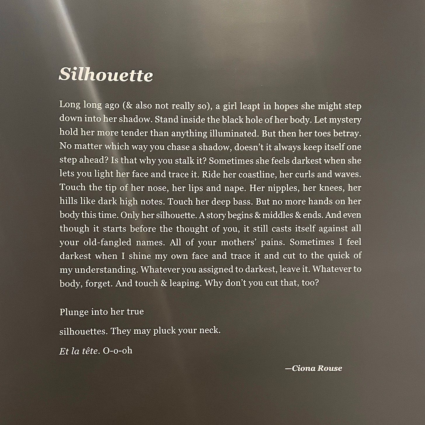Another bit of exposition by guest curator Ciona Rouse