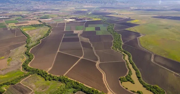 California Sues ICE Facility for Illegal Development on Farmland - Davis Vanguard California Sues ICE Facility for Illegal Development on Farmland - Davis Vanguard