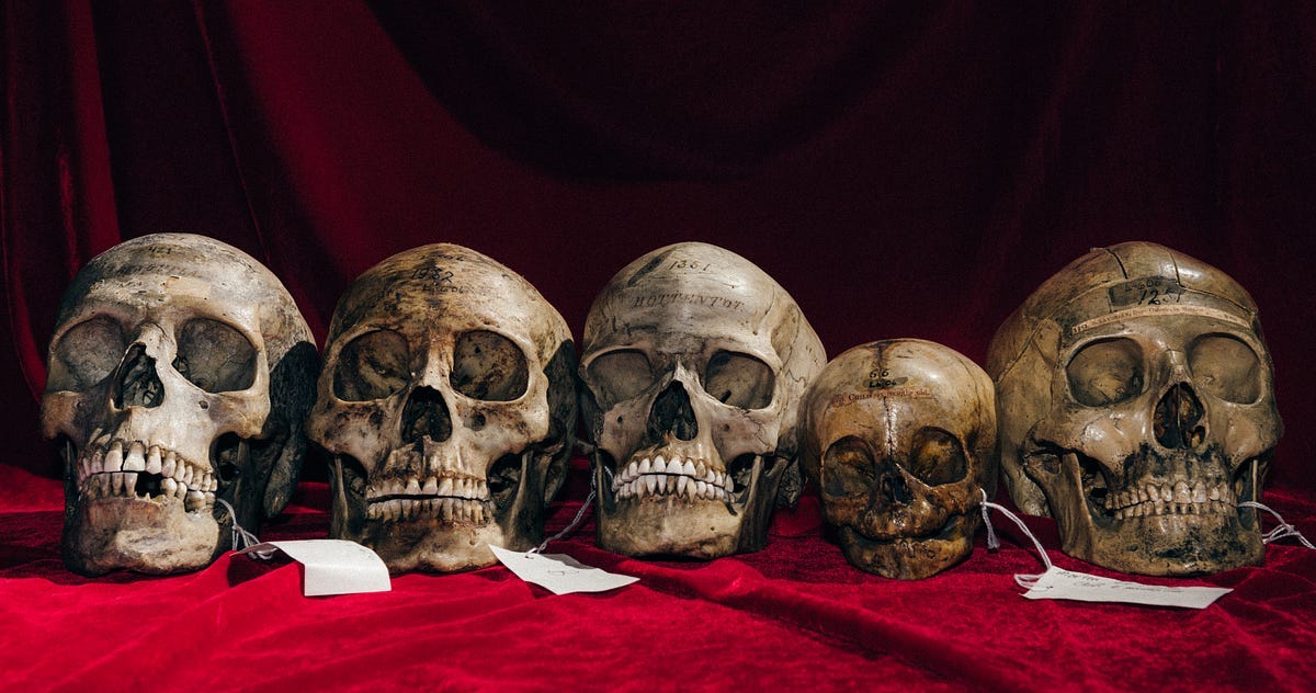 Our Skulls Are Out-Evolving Us. A motley crew of scientists argue that… |  by Katherine Reynolds Lewis | OneZero