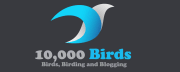 10,000 Birds