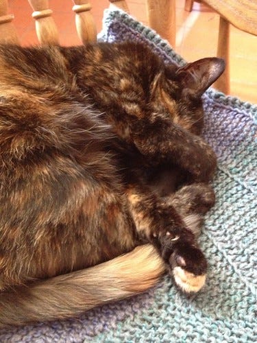 Sleepy Artemis Sleepy Artemis