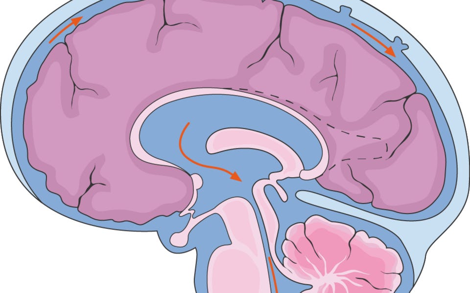 Which cerebrospinal fluid biomarkers reveal spinal truths before the MRI?