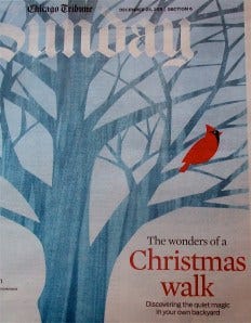 when wonder comes