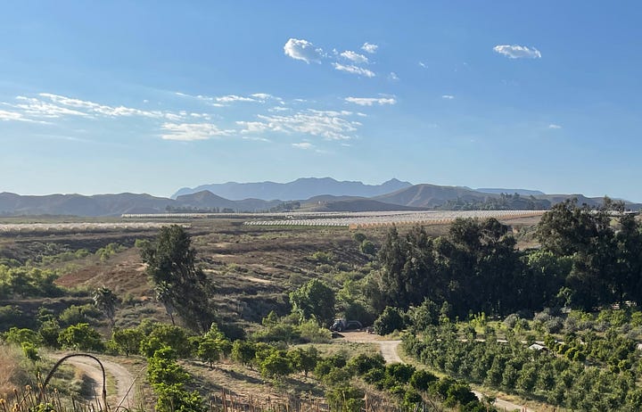 photos of Apricot Lane Farm by Sabrina Simpson