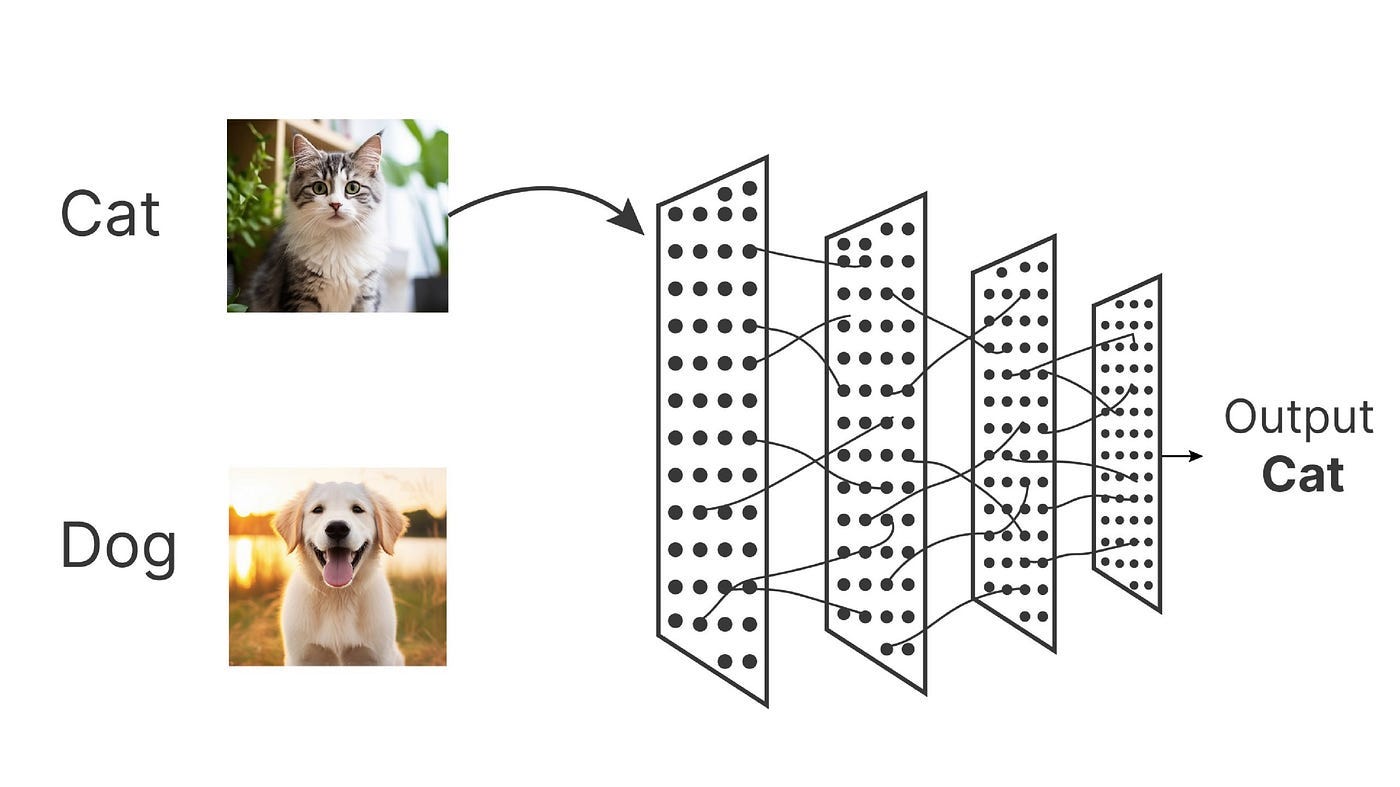 Cat vs Dog Image Classification using CNN | by Pratham Bisht | Medium Cat vs Dog Image Classification using CNN | by Pratham Bisht | Medium