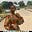 Joy Samuel's avatar