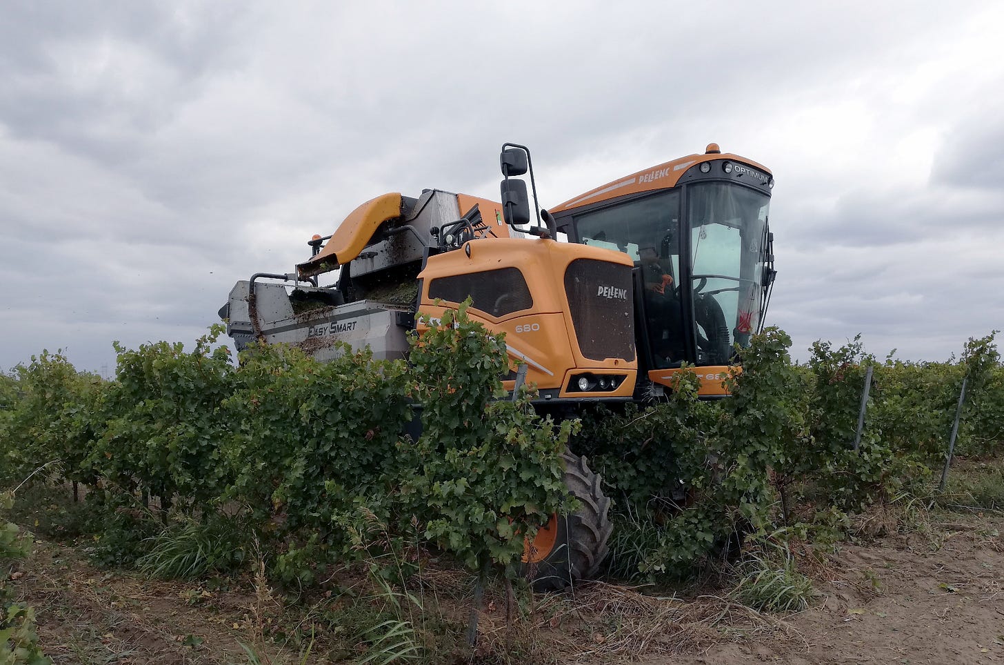 Machine harvesting in Romania.